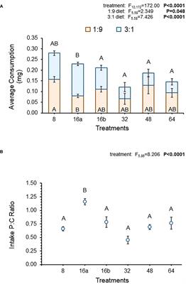 The importance of time in nutrient regulation: a case study with spotted-wing Drosophila (Drosophila suzukii)